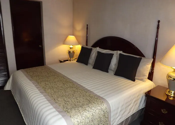 Pedregal Palace 3* Mexico City